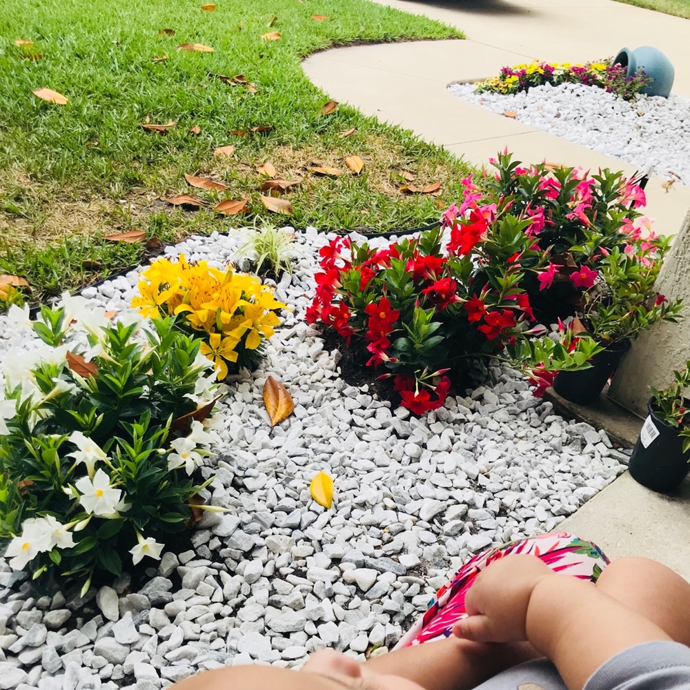 Meet your Posher, Yosy